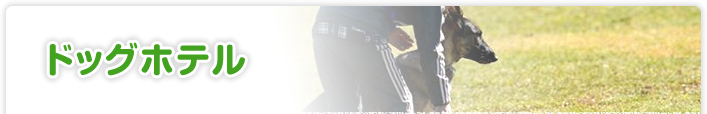 ドッグホテル
