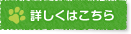 詳しくはこちら